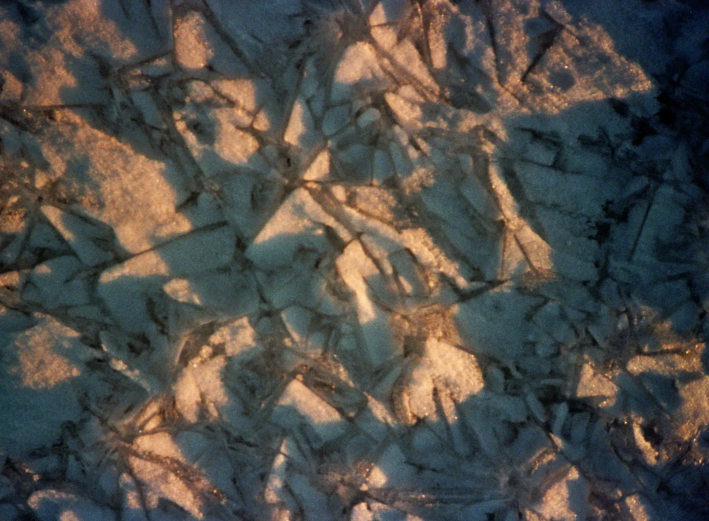 Estonian Winter 1