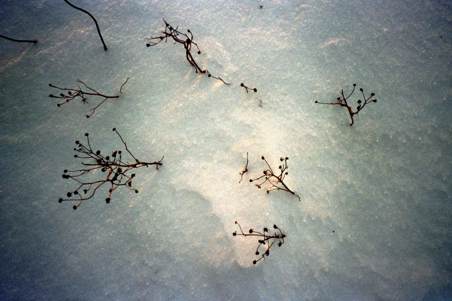 Estonian Winter 4