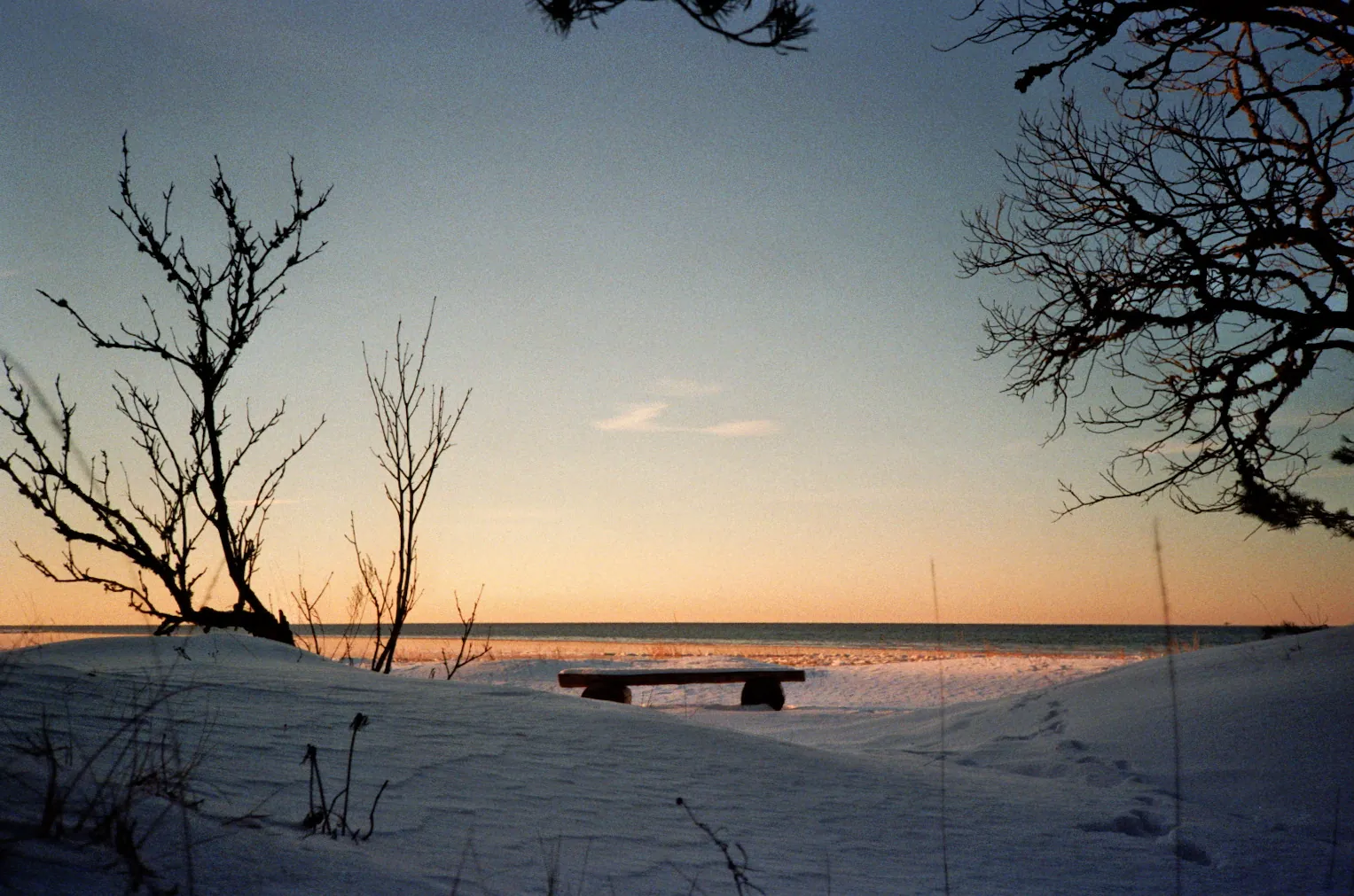 Estonian Winter 5